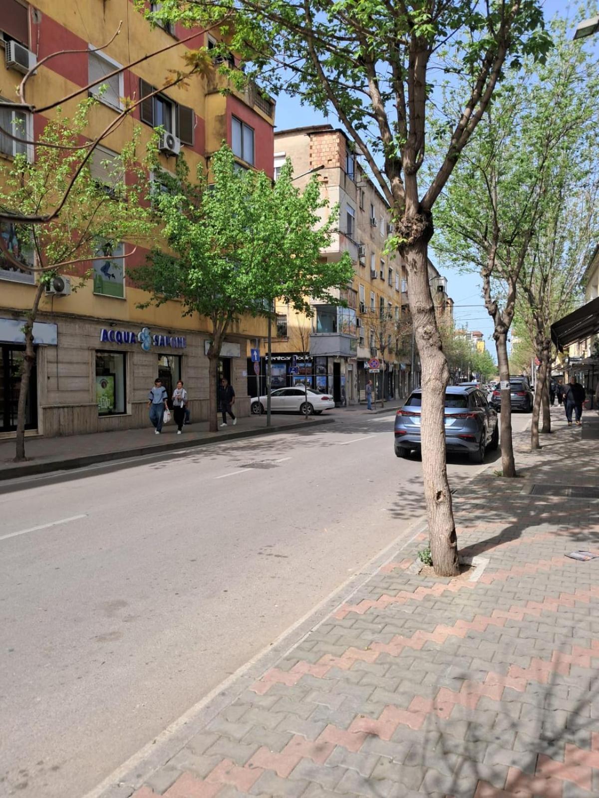 Edea Flat Apartament Tirana
